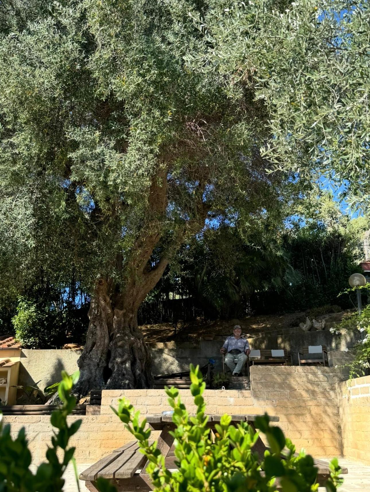 Aparthotel Madonna Del Poggio Cav Scarlino Exterior foto