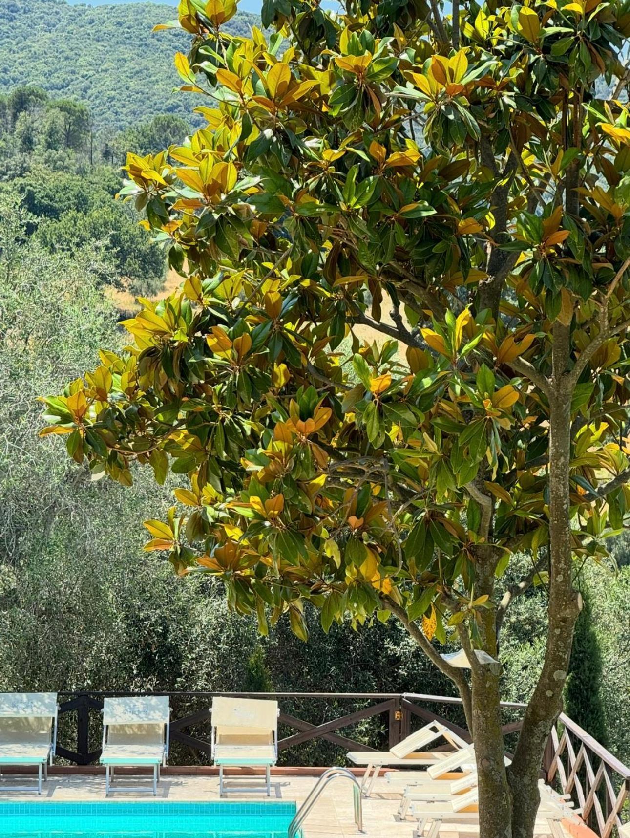 Aparthotel Madonna Del Poggio Cav Scarlino Exterior foto